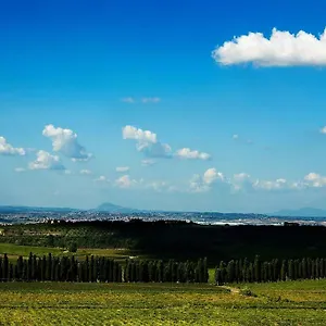 Merumalia Wine Frascati